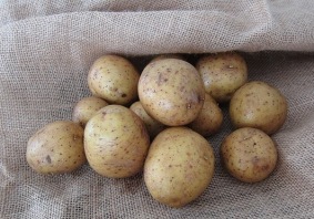 patate piccole